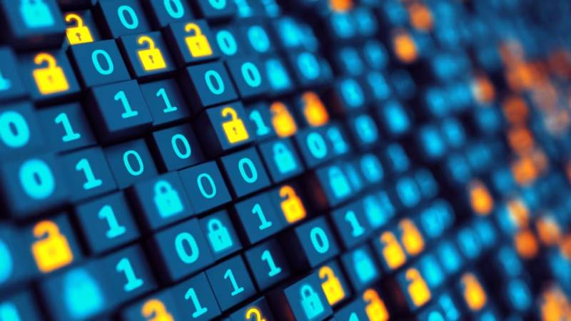 华县软件定制：数据管理效能的核心密钥